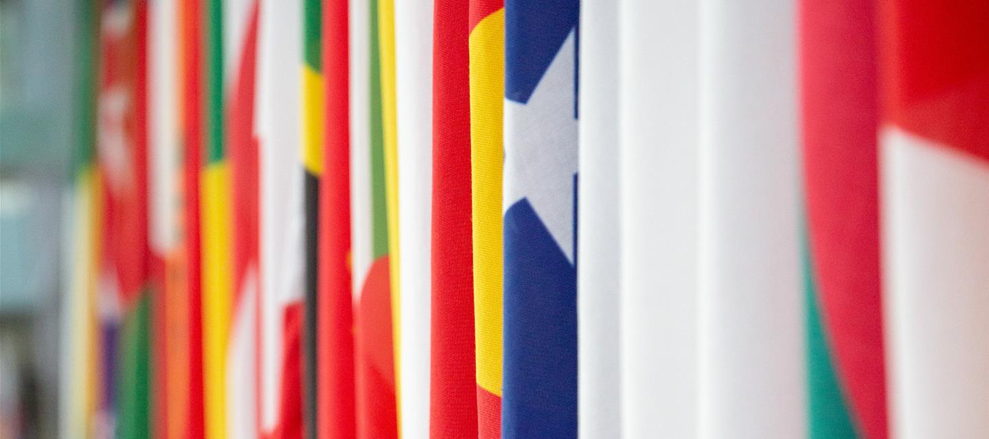 ICC flag