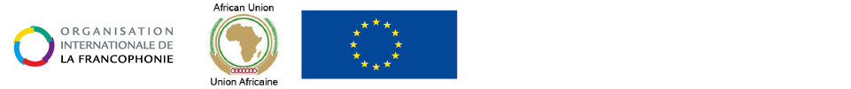 Joint African Union / ICC Seminar