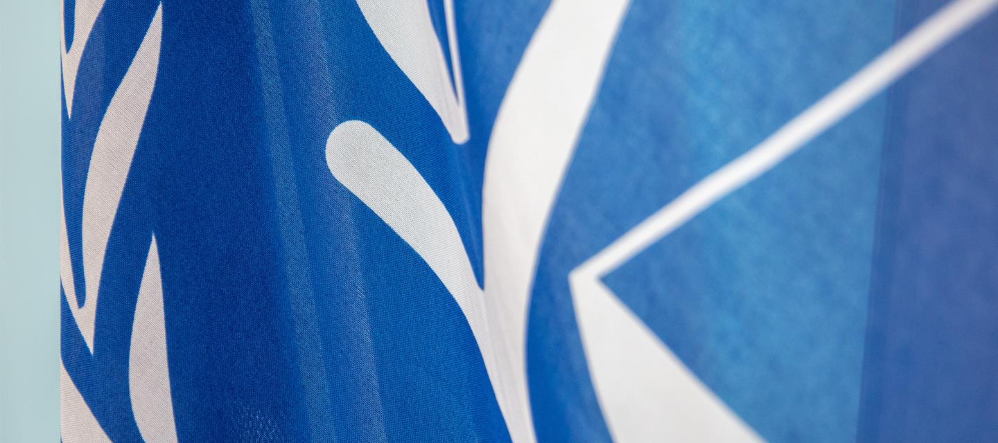 ICC flag