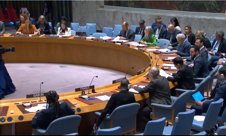 UNSC Darfur