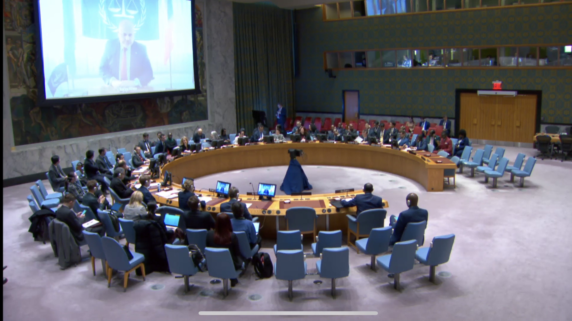 UNSC Darfur