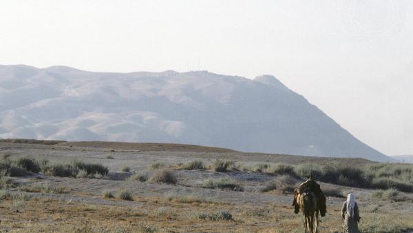 Palestine