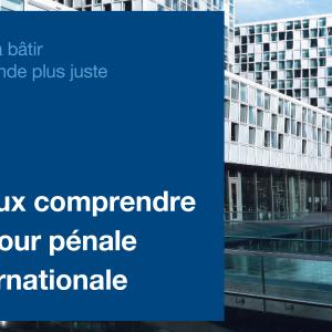 Mieux comprendre la Cour pénale internationale