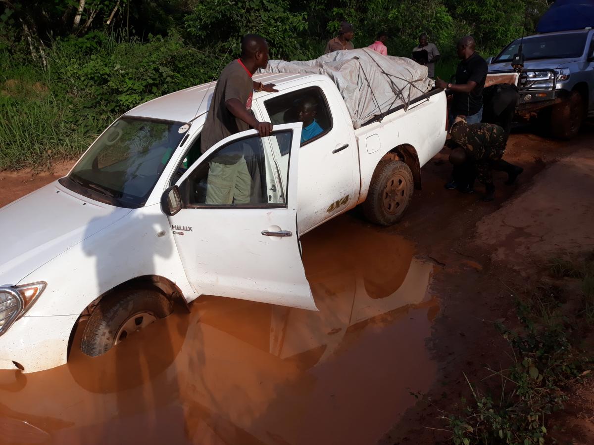 The Road to Boda