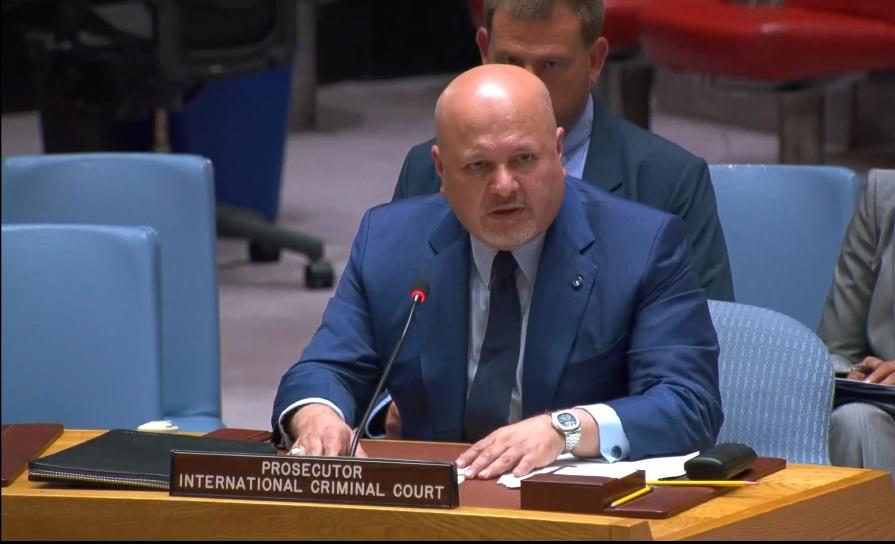 UNSC Darfur