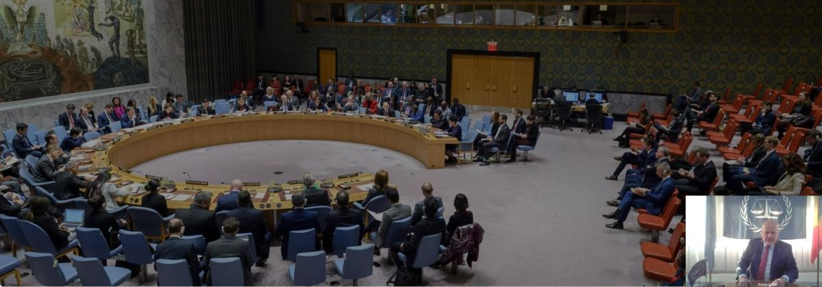 UNSC Darfur