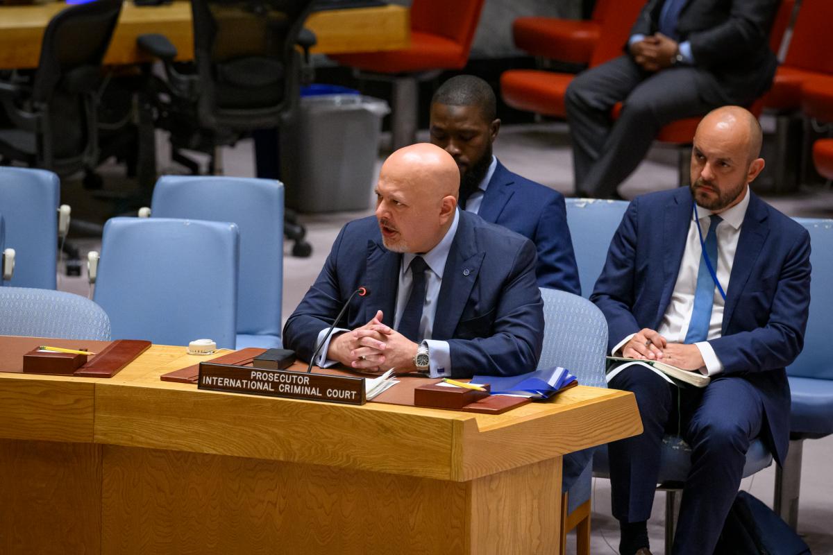 UNSC Darfur