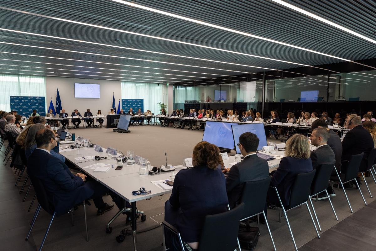 ICC holds International Seminar on Medical Matters in Detention